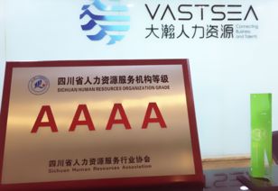 大瀚人力资源集团 企业管理咨询如何推动组织变革与效能提升？